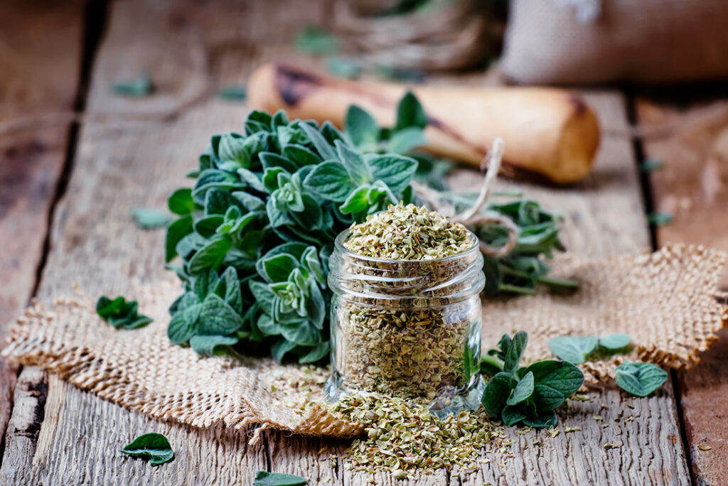 Dried And Fresh Oregano