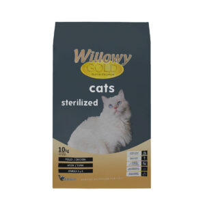 Willowy Gold Cats Sterilized