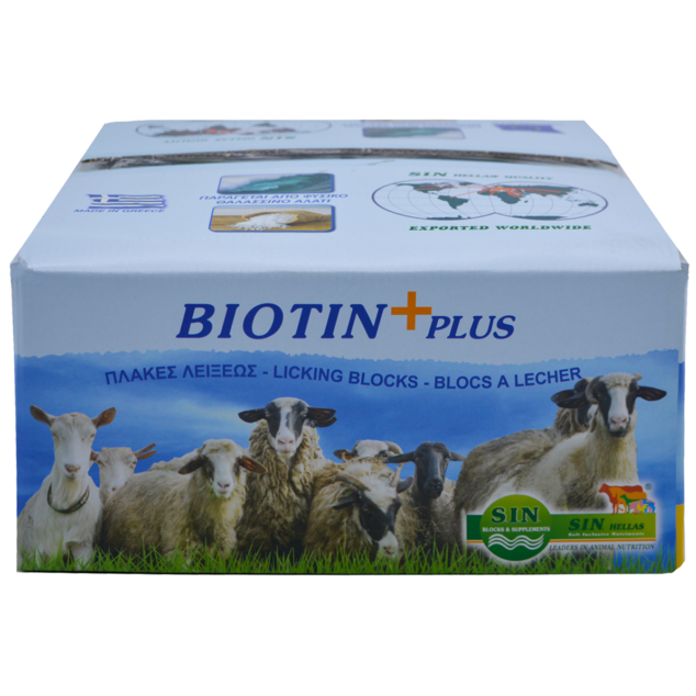 Biotin Plus (large Top)
