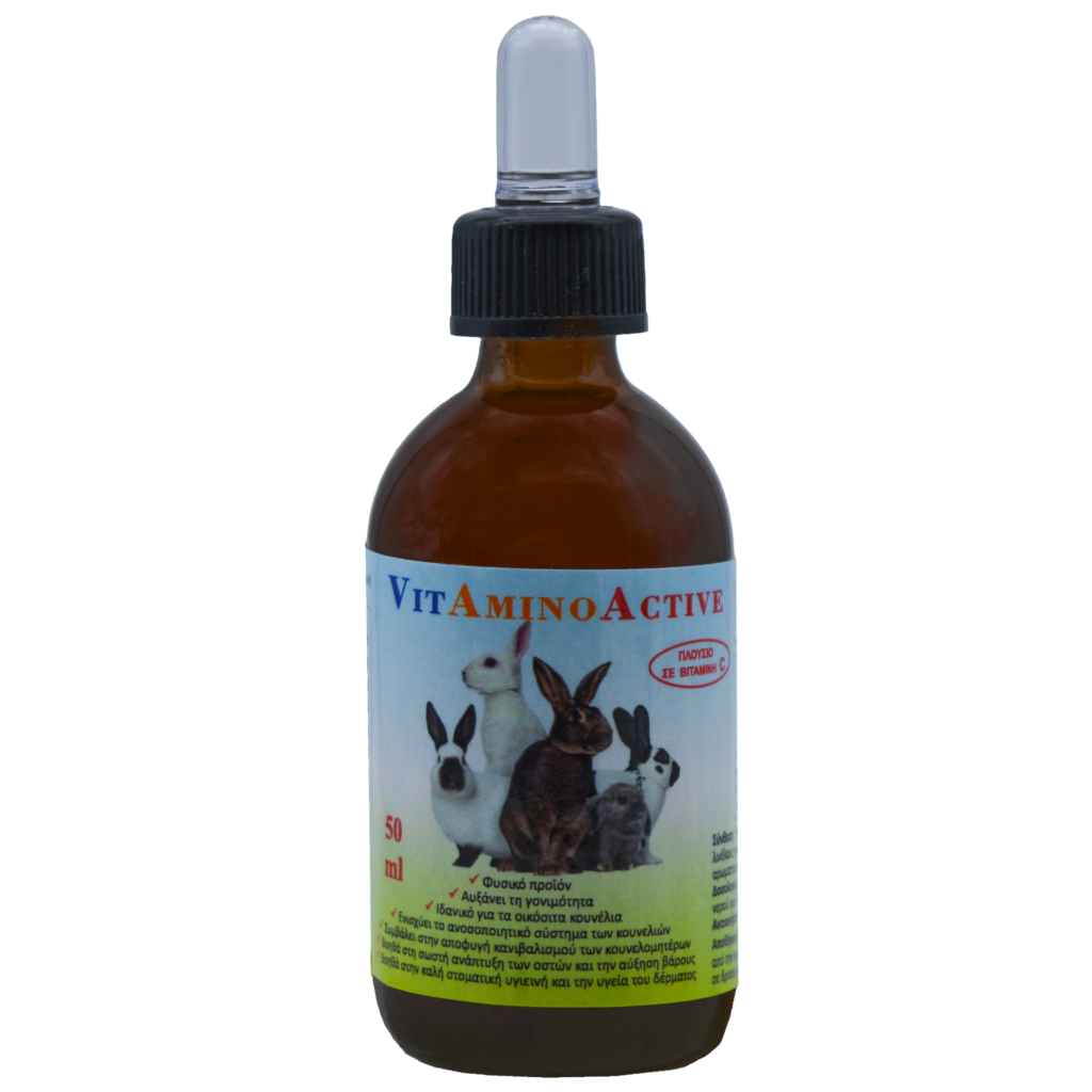 Rabbits - Talianis S.A. - Spices, herbs and aromatic plants