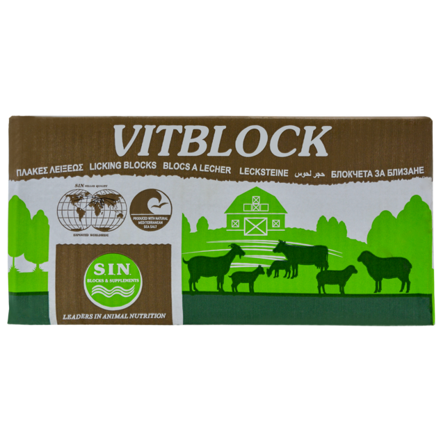 Vitblock (large Front)