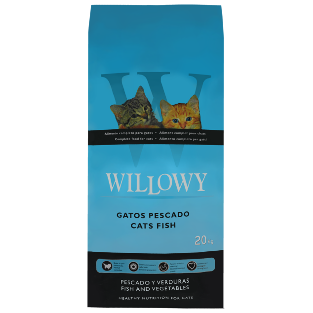 Willowy Cats Fish