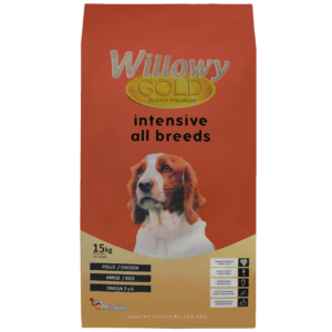Willowy Gold Intensive