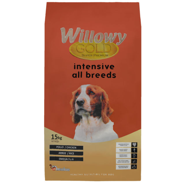 Willowy Gold Intensive
