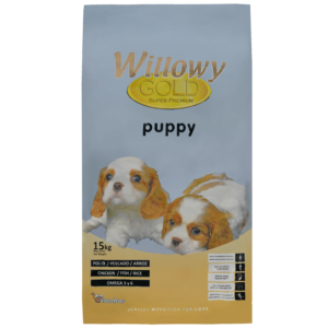 Willowy Gold Puppy