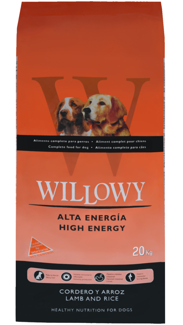 Willowy High Energy
