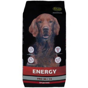 1st Plan Dog Energy