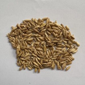 ΒΡΩΜΗ ΠΤΗΝΩΝ ΑΠΟΦΛΟΙΩΜΕΝΗ