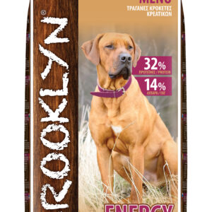 Brooklyn Dog Energy 20k