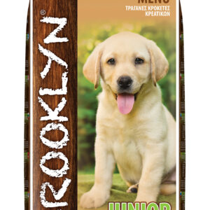 Brooklyn Dog Puppy 20k