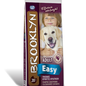 Brooklyn Easy Dog ΣΥΝΤΗΡΗΣΗ