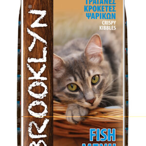 Brooklyn Cat ΨΑΡΙ