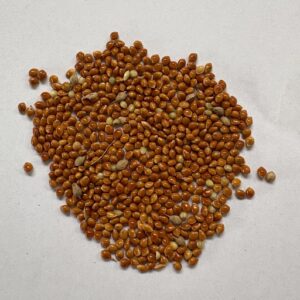 ΒΟΡΙ ΚΟΚΚΙΝΟ