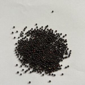 ΡΟΥΠΣΕΝ ΜΑΥΡΟ (ΕΛΑΙΟΚΡΑΜΒΗ)